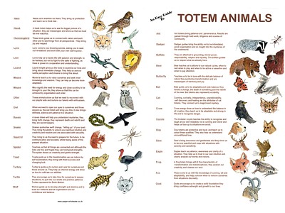 Totem Animals Easy Guides